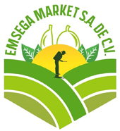 Logo EMSEGA MARKET